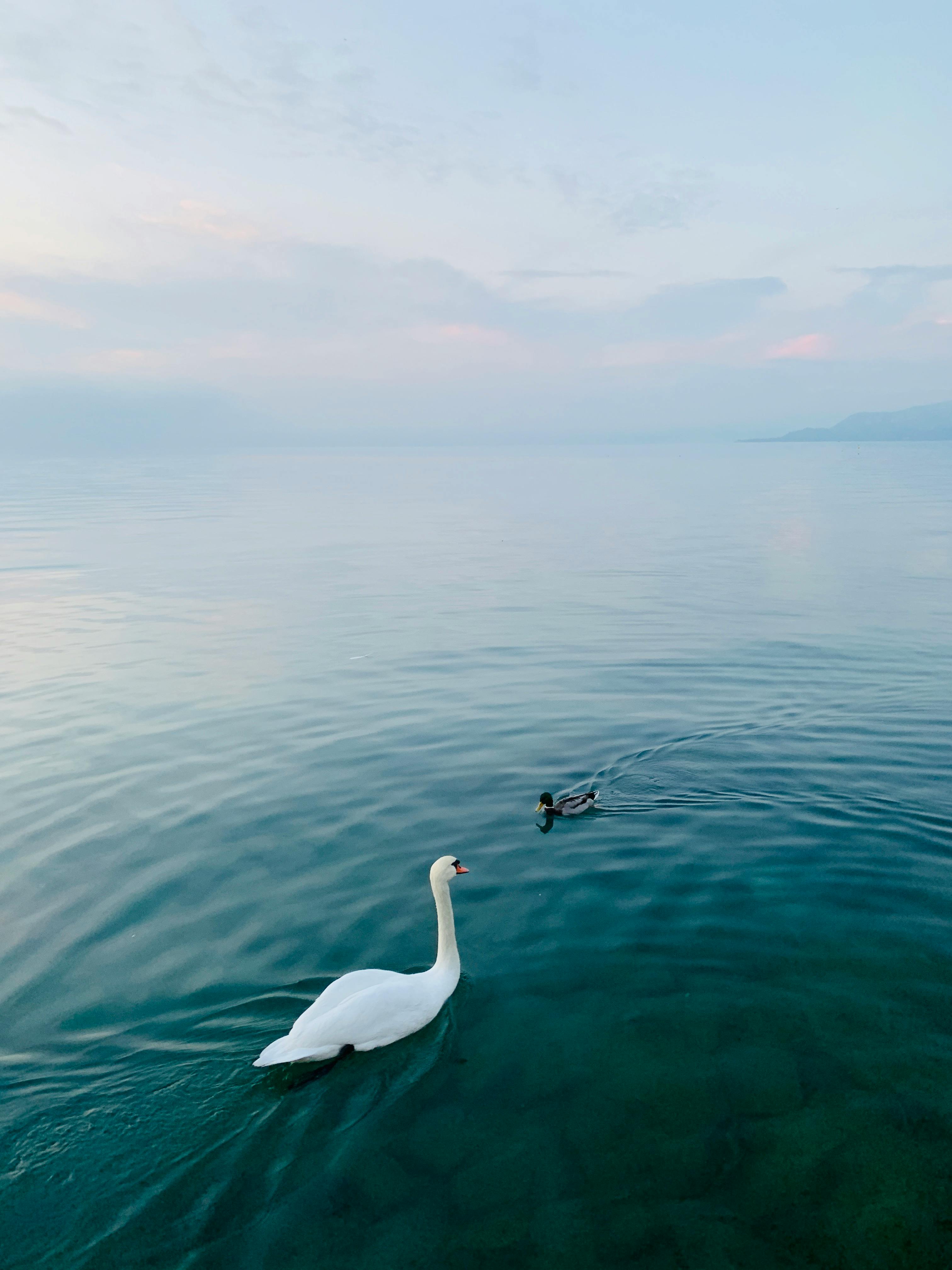 Hotel Cristina Lazise